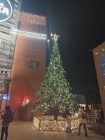 IMG_20241208_194243.jpg