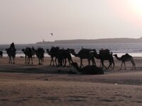 IMG_20230721_190258.jpg